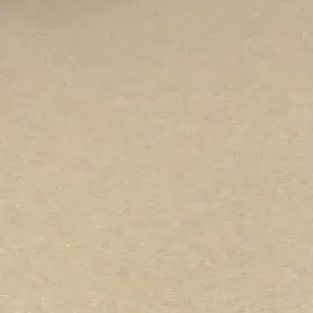 Vorwerk Bingo Teppichboden Farbe 8K65 – Raumansicht mit Struktur und Farbton